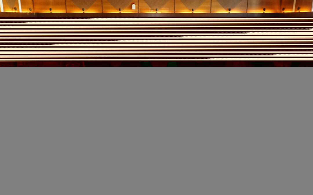 Parteitag: Detlev Pilger mit großer Mehrheit im Amt als Vorsitzender des Stadtverbands bestätigt