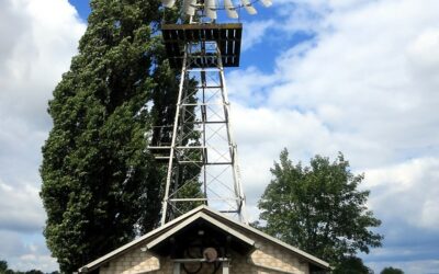 SPD Metternich-Bubenheim lädt zu Mosel-Clean-up und Sommerfest