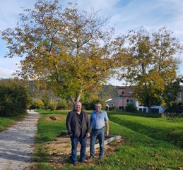 Güls bekommt neue Nussbäume