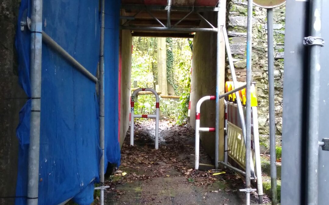 Zugang zum Bienhorntal wieder frei!