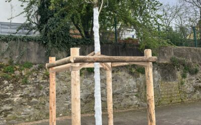 Neuer Baum am Leinpfad gepflanzt